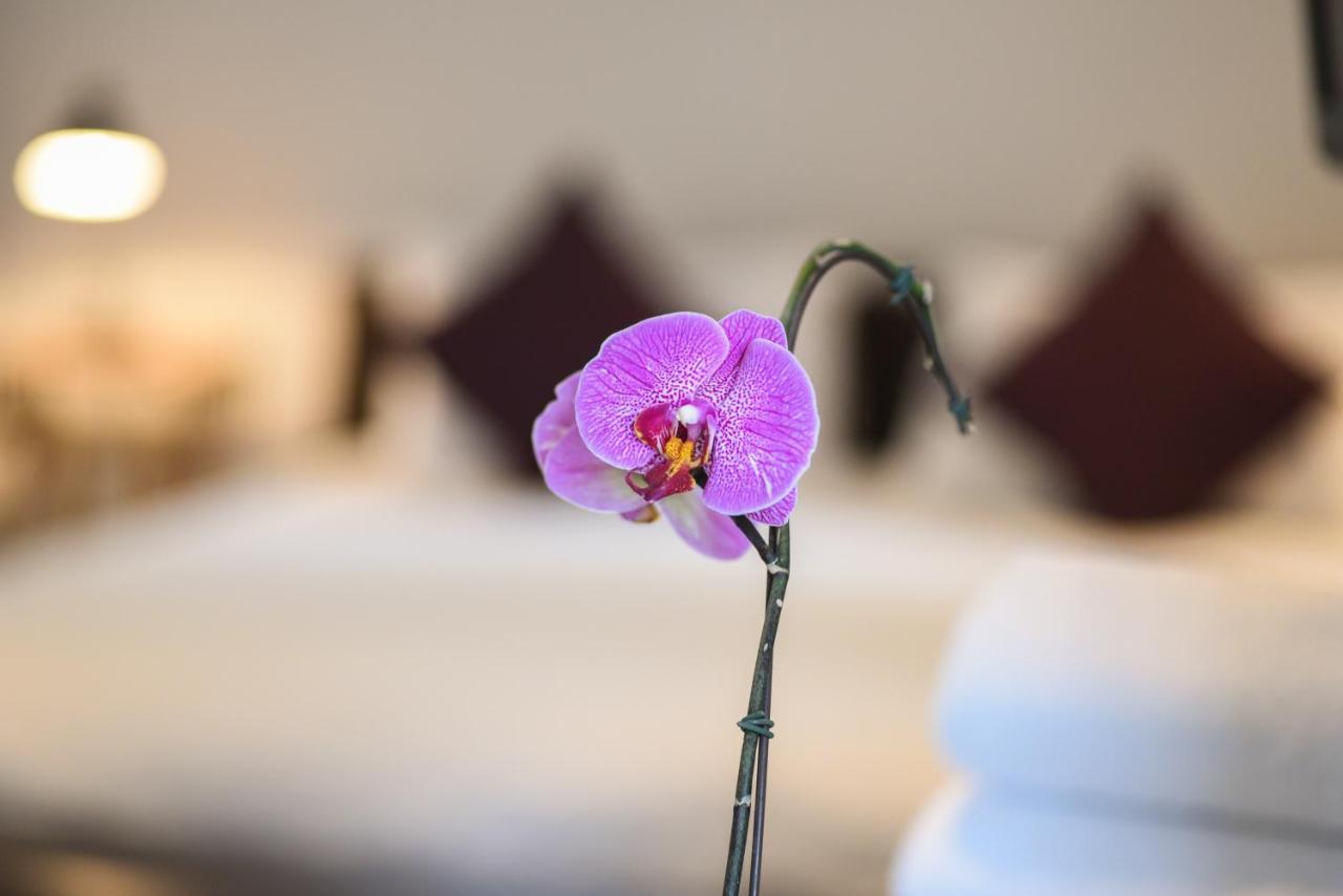 51 On Camps Bay Hotel Cape Town Bagian luar foto
